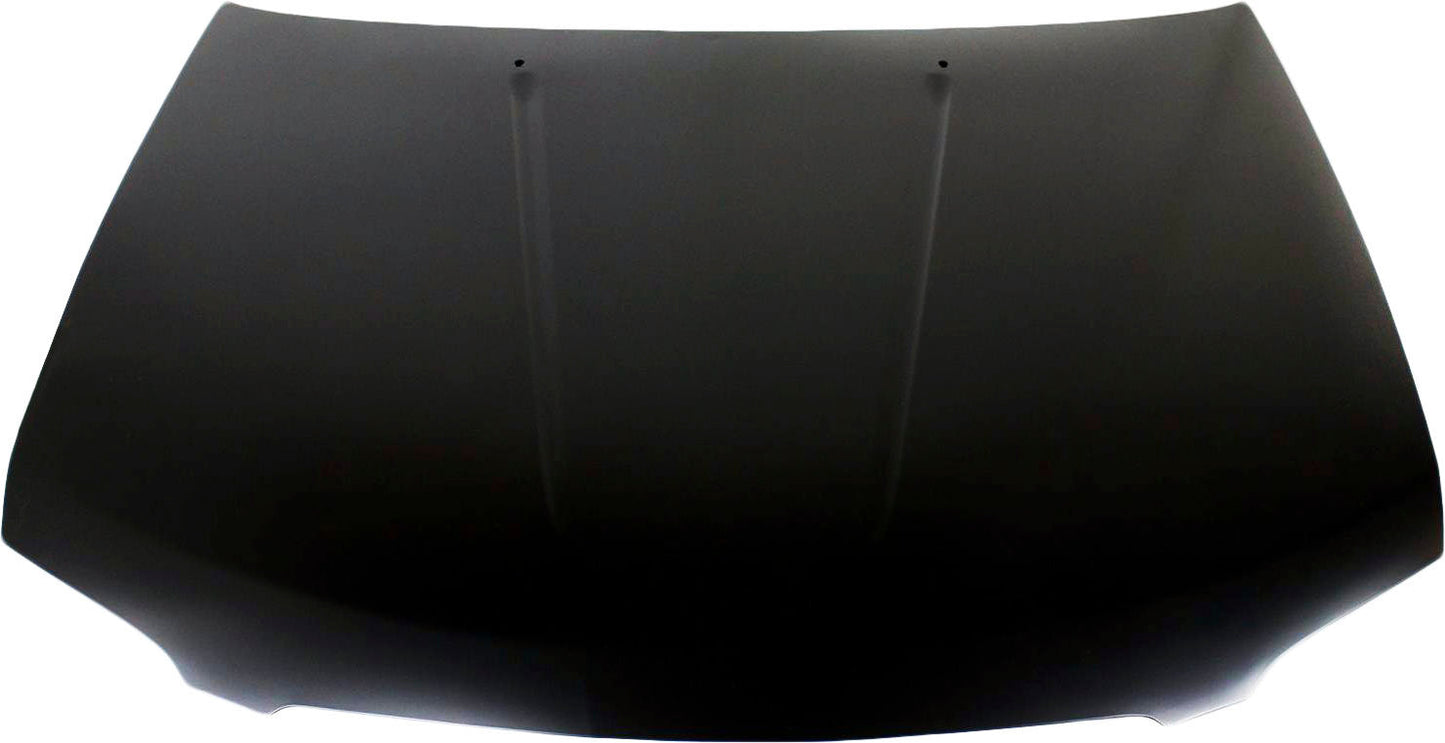 SENTRA 04-06 HOOD, Steel