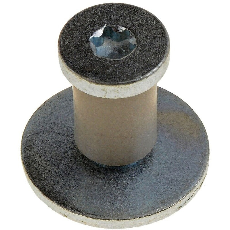 DOOR STRIKER BOLT