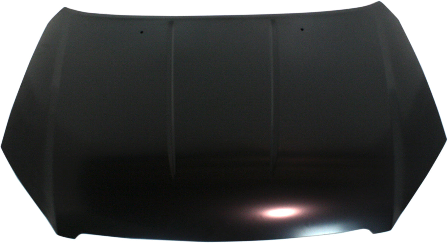 ALTIMA 05-06 HOOD, Steel