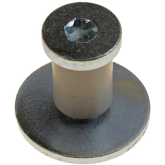 DOOR STRIKER BOLT