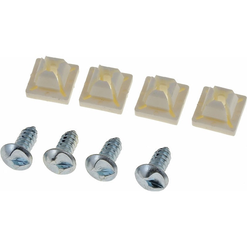 LCNS PLATE SCREW KIT