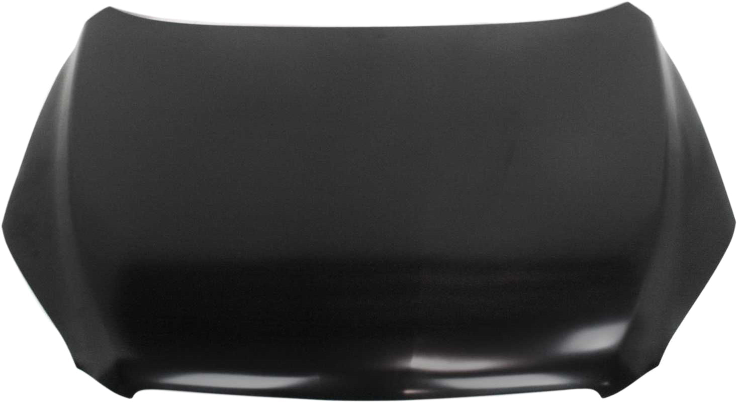 RAV4 06-12 HOOD